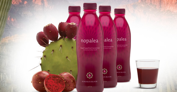 TriVita Loses on NOPALEA Trademark